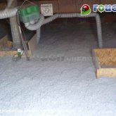 Isolation du toit en ouate de cellulose à Pamiers